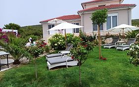 Adriaapart Vip